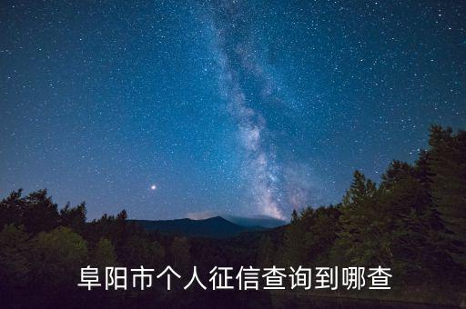  阜陽市個人征信查詢到哪查