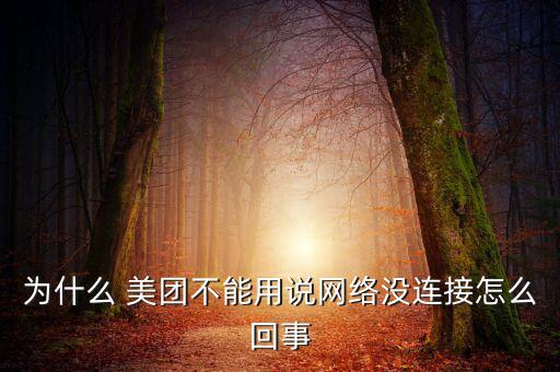 為什么 美團不能用說網(wǎng)絡沒連接怎么回事