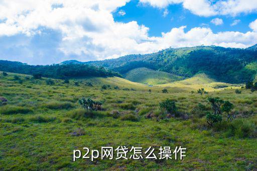  p2p網(wǎng)貸怎么操作