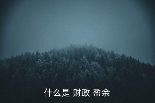 什么是 財(cái)政 盈余