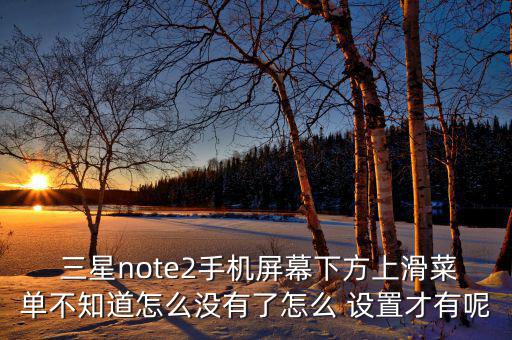  三星note2手機屏幕下方上滑菜單不知道怎么沒有了怎么 設置才有呢