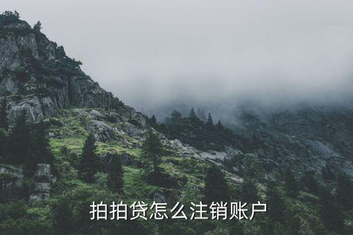 拍拍貸注冊(cè)了怎么取消,拍拍貸款可以取消但具體情況具體分析