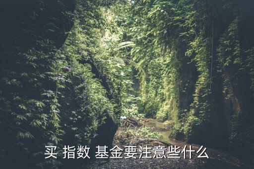 買 指數(shù) 基金要注意些什么