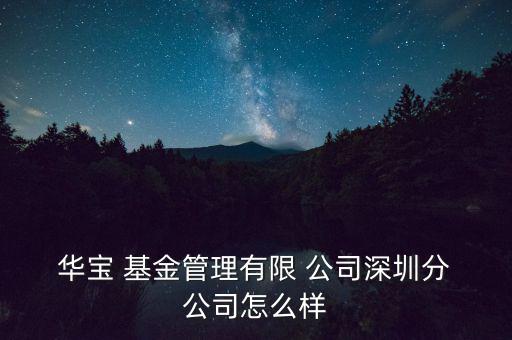  華寶 基金管理有限 公司深圳分 公司怎么樣