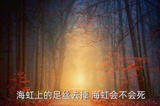 海虹的線怎么去掉,海虹:營(yíng)養(yǎng)豐富味道鮮嫩!