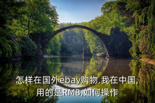 怎樣在國外ebay購物,我在中國,用的是RMB,如何操作