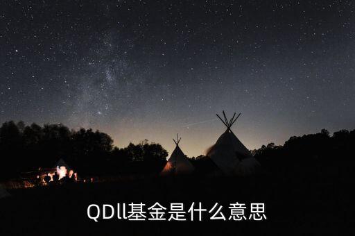 QDll基金是什么意思