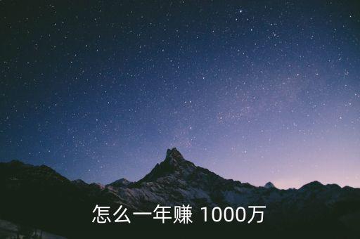 怎么一年賺 1000萬(wàn)