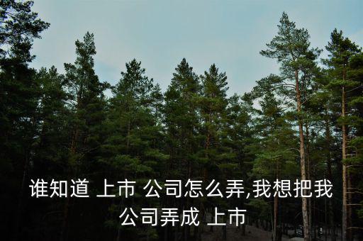 誰知道 上市 公司怎么弄,我想把我 公司弄成 上市