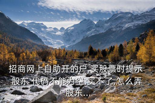 招商網(wǎng)上自助開的戶,買股票時提示 股東 代碼不能為空,買不了,怎么弄 股東...