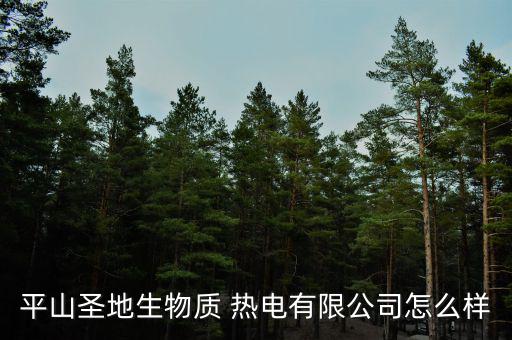 平山圣地生物質 熱電有限公司怎么樣