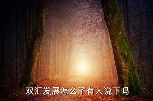  雙匯發(fā)展怎么了有人說(shuō)下嗎