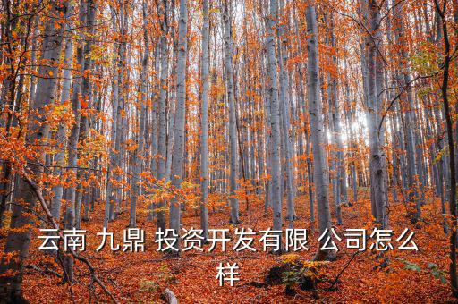 云南 九鼎 投資開發(fā)有限 公司怎么樣