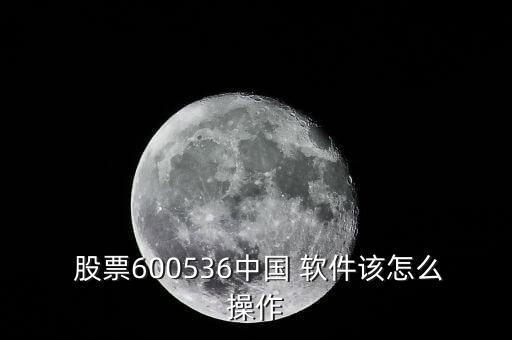  股票600536中國 軟件該怎么操作