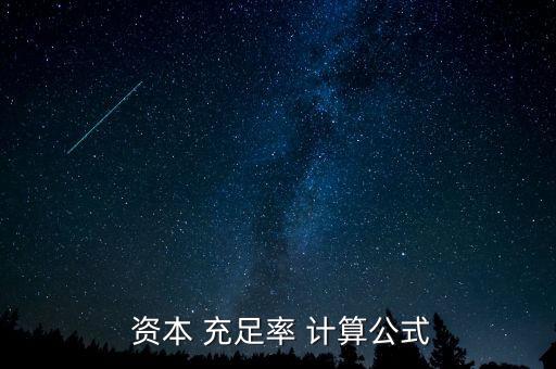 資本 充足率 計(jì)算公式