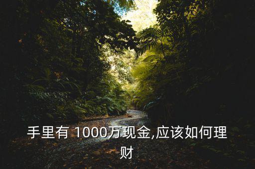 手里有 1000萬(wàn)現(xiàn)金,應(yīng)該如何理財(cái)