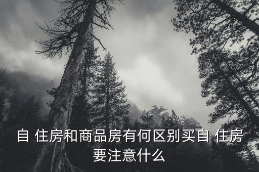 自住房怎么搖號,京字-1搖號規(guī)則:購房家庭按一定比例抽取