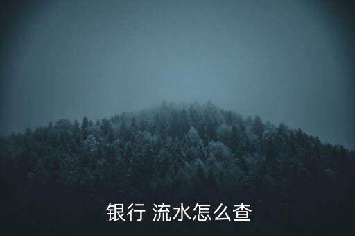  銀行 流水怎么查