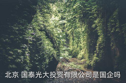 北京 國泰光大投資有限公司是國企嗎