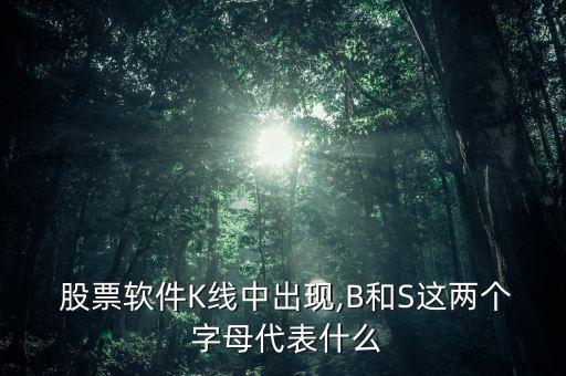  股票軟件K線中出現,B和S這兩個 字母代表什么