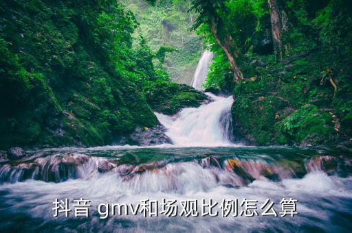 gmv怎么計(jì)算,tiktokgmv是網(wǎng)站的交易金額