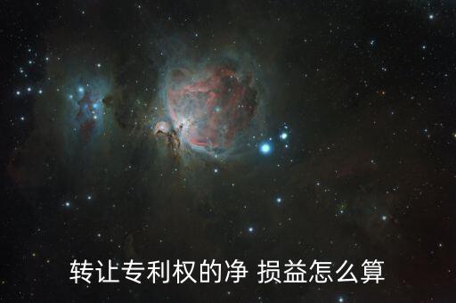 轉讓專利權的凈 損益怎么算