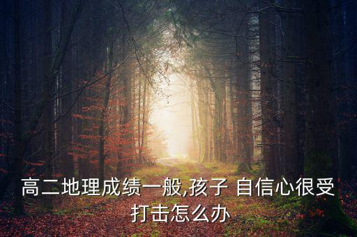 高二地理成績一般,孩子 自信心很受 打擊怎么辦