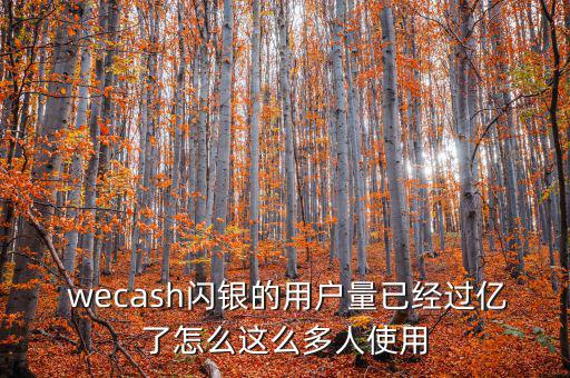  wecash閃銀的用戶量已經(jīng)過億了怎么這么多人使用