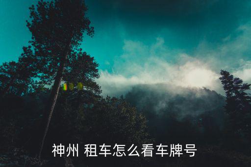 神州 租車(chē)怎么看車(chē)牌號(hào)