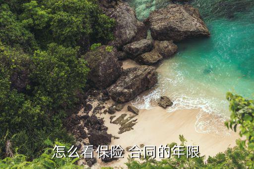 怎么看保險 合同的年限