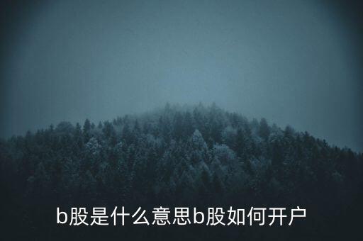 b股怎么交易,人民幣特別股b股在中國(guó)上市交易日后第三天完成