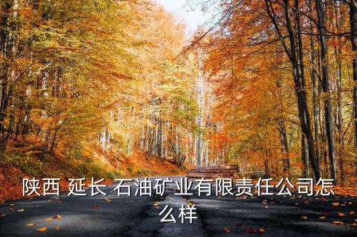 陜西 延長 石油礦業(yè)有限責(zé)任公司怎么樣