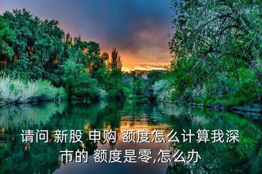 請(qǐng)問(wèn) 新股 申購(gòu) 額度怎么計(jì)算我深市的 額度是零,怎么辦