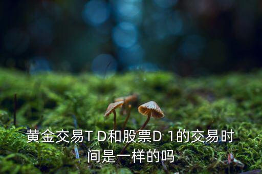 皇嘉貴金屬怎么樣,貴金屬交易七大優(yōu)勢:價格與國際同步