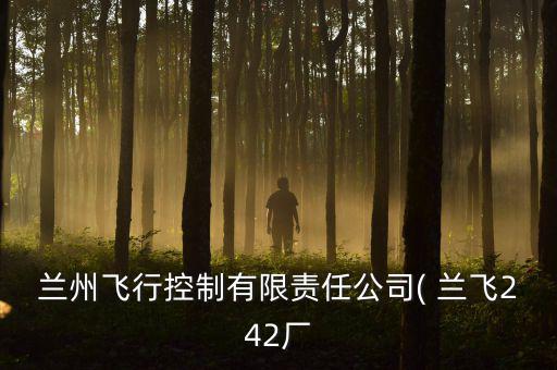 蘭州飛行控制有限責(zé)任公司( 蘭飛242廠