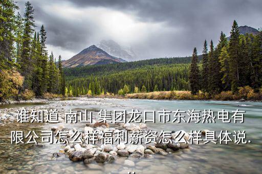 二月南山集團(tuán)怎么樣,南山鋁出資的民營熱電廠正式開工