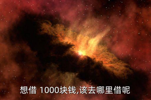 個(gè)人借1000怎么帶,如何申請(qǐng)小額貸款?