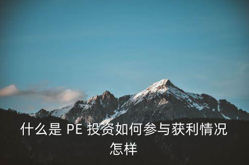 什么是 PE 投資如何參與獲利情況怎樣