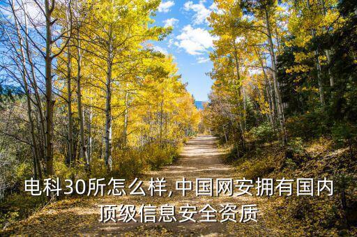 中國電科30所怎么樣,中國網(wǎng)安擁有國內(nèi)頂級信息安全資質(zhì)