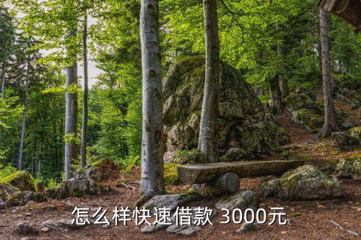 怎么樣快速借款 3000元