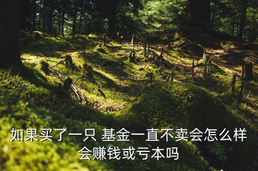 如果買了一只 基金一直不賣會(huì)怎么樣會(huì)賺錢或虧本嗎