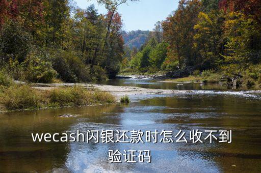  wecash閃銀還款時(shí)怎么收不到驗(yàn)證碼