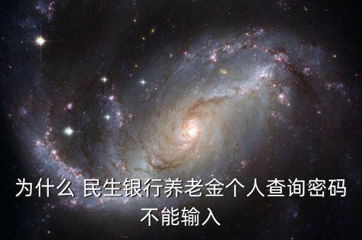 民生銀行企業(yè)年金怎么查,商業(yè)銀行企業(yè)年金查詢個(gè)人賬戶1