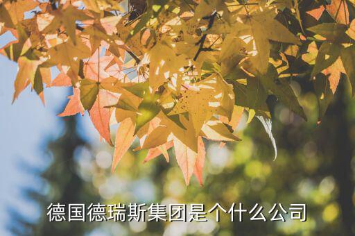 德國(guó)德瑞斯集團(tuán)是個(gè)什么公司