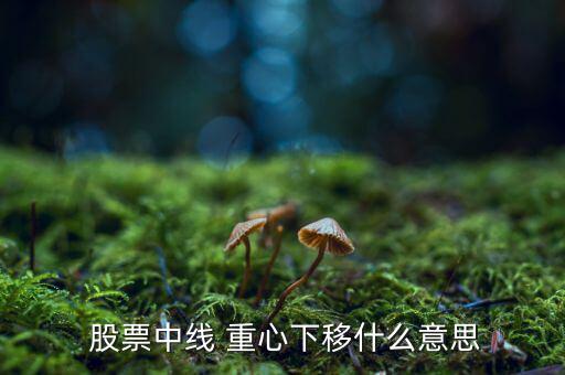 股票重心怎么看,股價會下跌但不能完全依靠技術(shù)分析