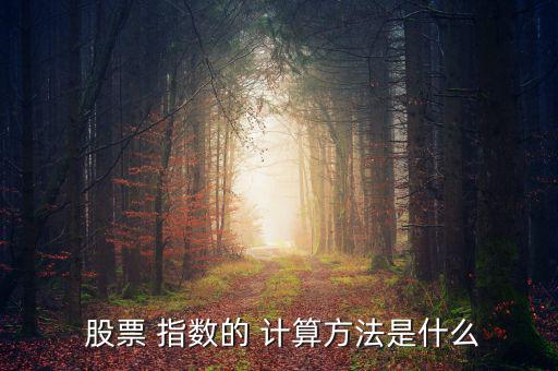 股票指數(shù)怎么計算,中國股票大盤指數(shù):深圳上海證券交易所指數(shù)