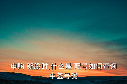 申購(gòu) 新股時(shí),什么是 配號(hào)如何查詢中簽號(hào)碼