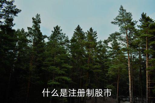 什么是注冊(cè)制股市