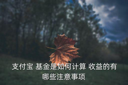  支付寶 基金是如何計算 收益的有哪些注意事項