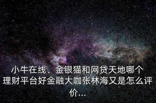  小牛在線、金銀貓和網(wǎng)貸天地哪個(gè) 理財(cái)平臺(tái)好金融大咖張林海又是怎么評(píng)價(jià)...